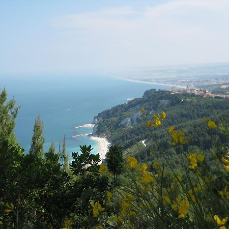 Hotel Da Lorella Gabicce Mare Exteriér fotografie