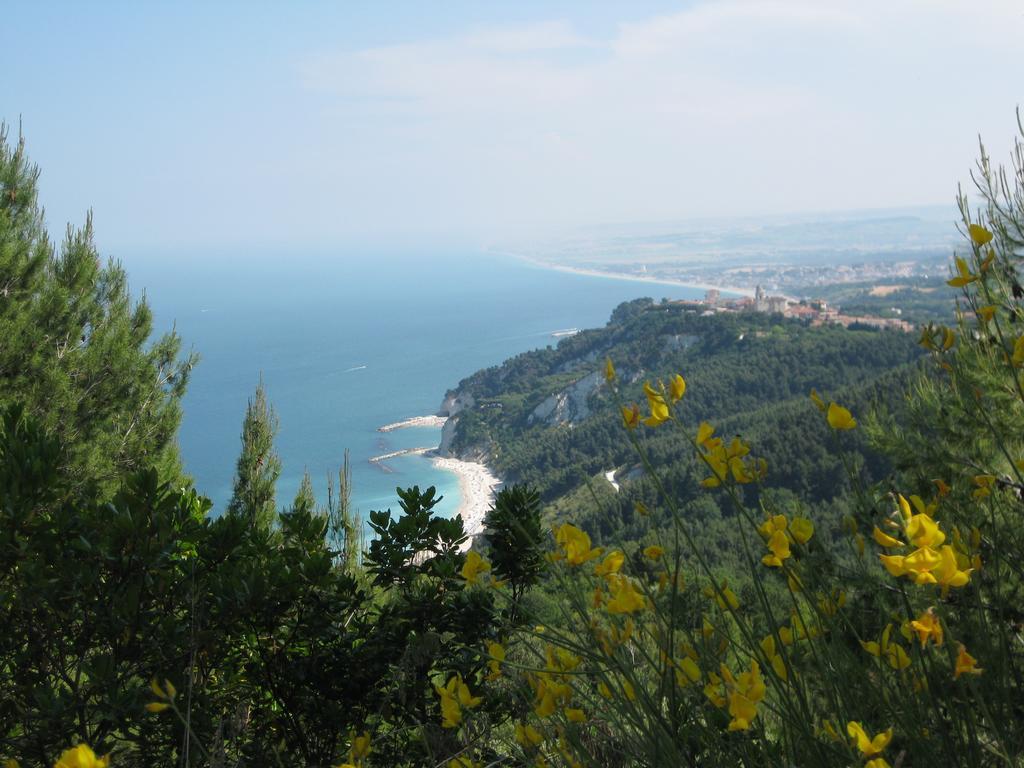 Hotel Da Lorella Gabicce Mare Exteriér fotografie